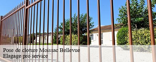 Pose de cloture  moissac-bellevue-83630 Elagage pro service