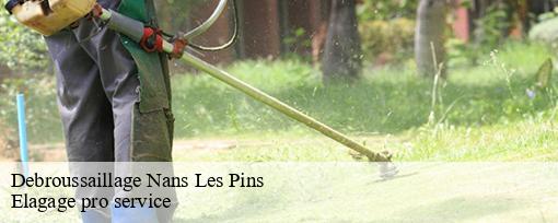 Debroussaillage  nans-les-pins-83860 Elagage pro service