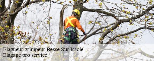 Elagueur grimpeur  besse-sur-issole-83890 Elagage pro service