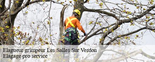 Elagueur grimpeur  les-salles-sur-verdon-83630 Elagage pro service