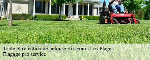 Tonte et refection de pelouse  six-fours-les-plages-83140 Elagage pro service