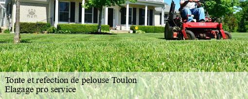 Tonte et refection de pelouse  toulon-83000 Elagage pro service