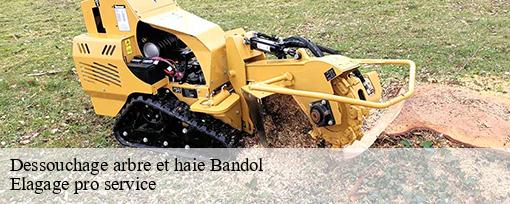 Dessouchage arbre et haie  bandol-83150 Elagage pro service