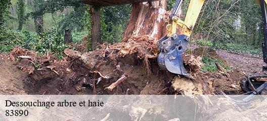 Dessouchage arbre et haie  83890