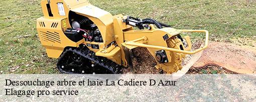 Dessouchage arbre et haie  la-cadiere-d-azur-83740 Elagage pro service