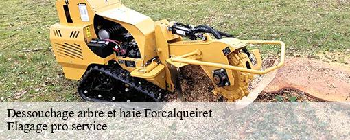 Dessouchage arbre et haie  forcalqueiret-83136 Elagage pro service