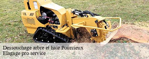 Dessouchage arbre et haie  pourcieux-83470 Elagage pro service