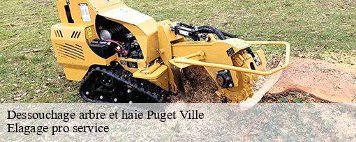 Dessouchage arbre et haie  puget-ville-83390 Elagage pro service