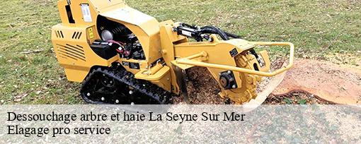 Dessouchage arbre et haie  la-seyne-sur-mer-83500 Elagage pro service